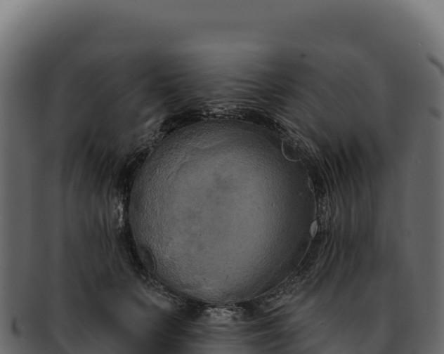 X0000092300703200710041447