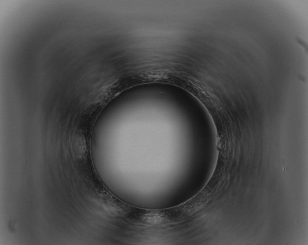 X0000092300704200710041447