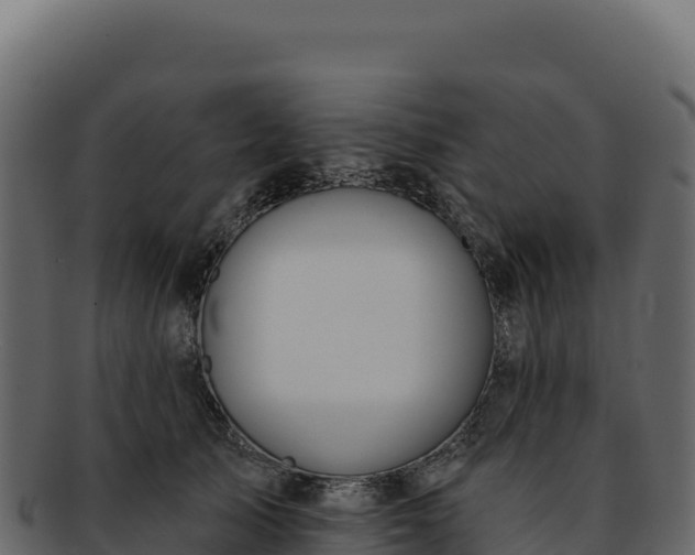 X0000092300705200710041447