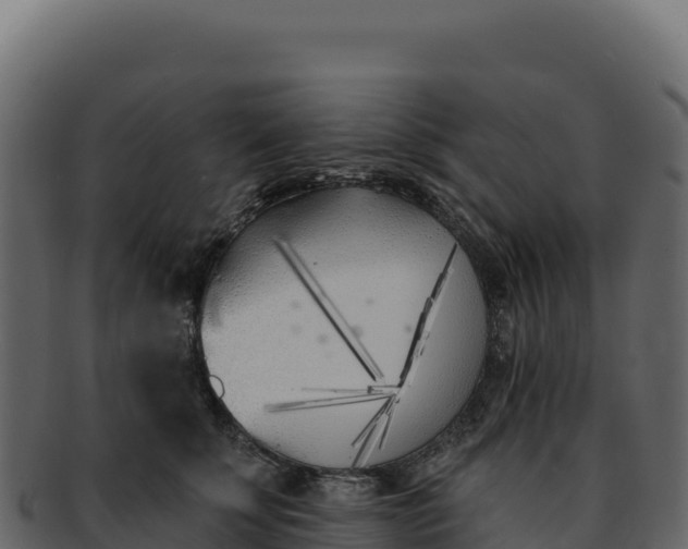 X0000092300707200710041447