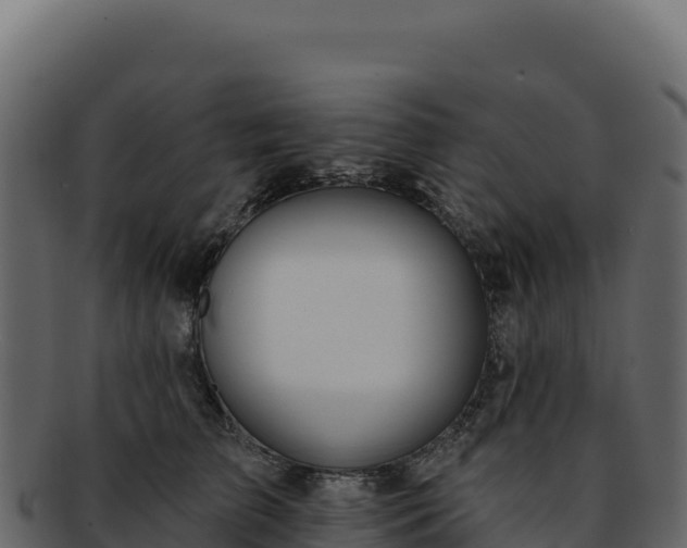 X0000092300709200710041447