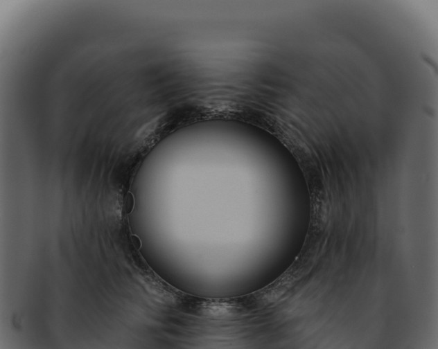 X0000092300710200710041447