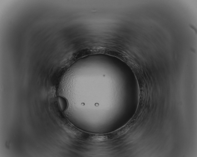 X0000092300711200710041447