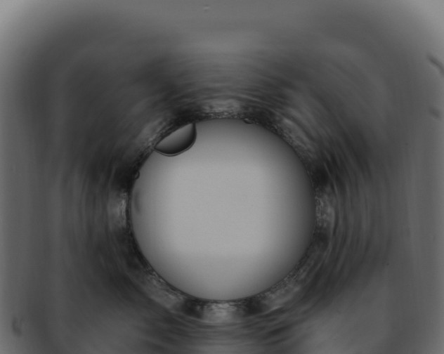 X0000092300717200710041447