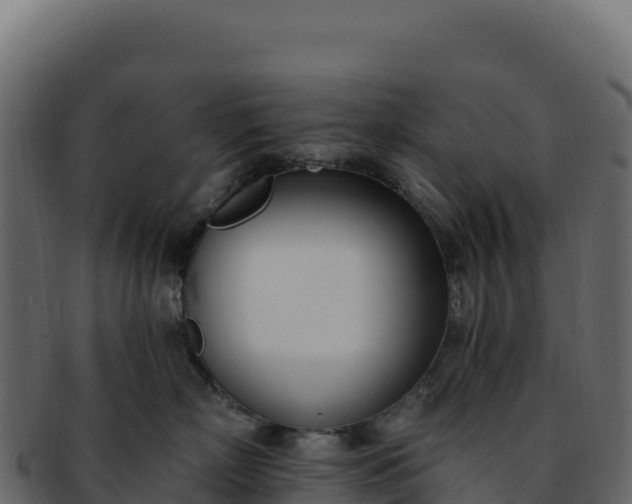 X0000092300718200710041447