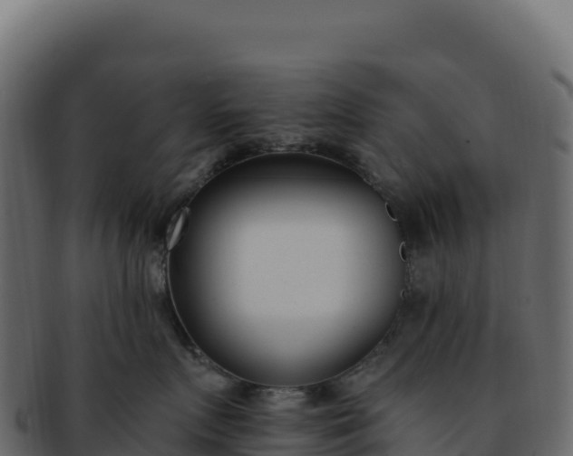 X0000092300719200710041447