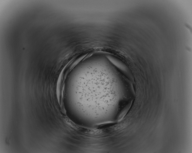 X0000092300720200710041447