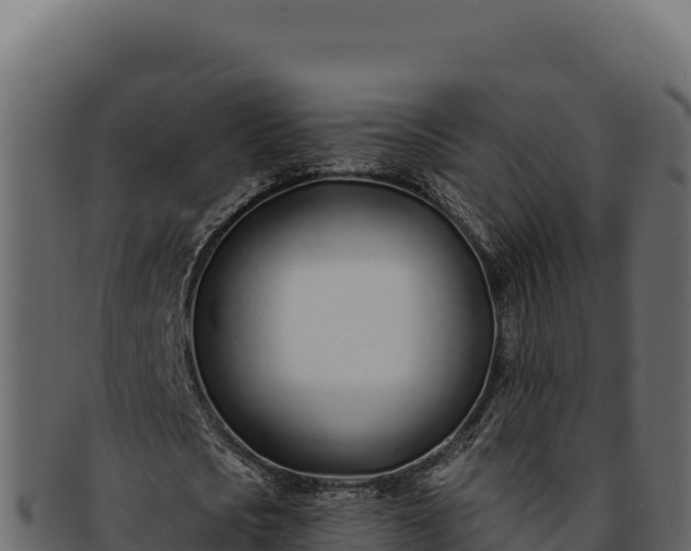 X0000092300721200710041447