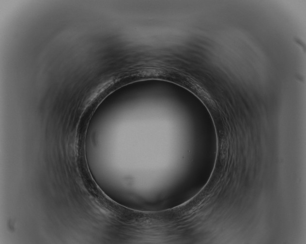 X0000092300722200710041447