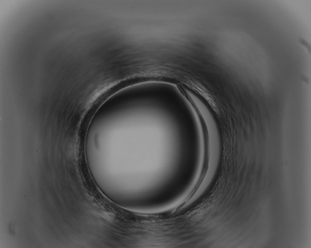 X0000092300724200710041447