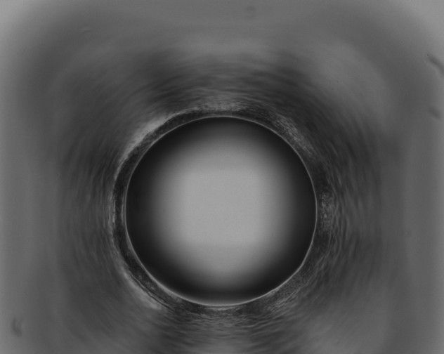 X0000092300726200710041447