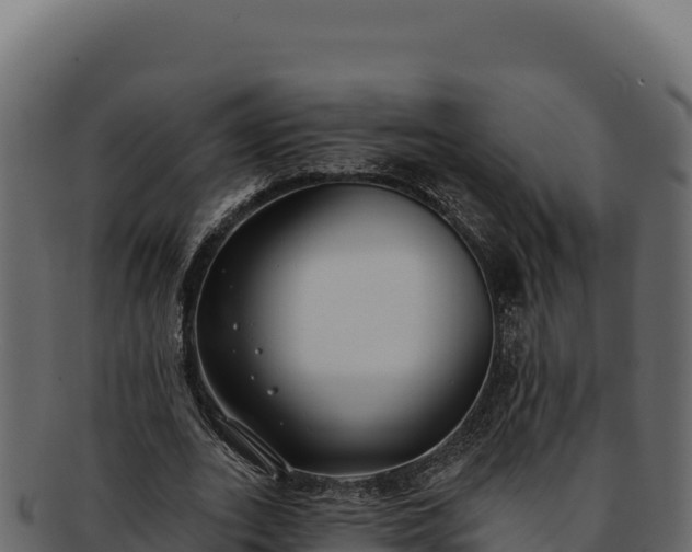 X0000092300727200710041447