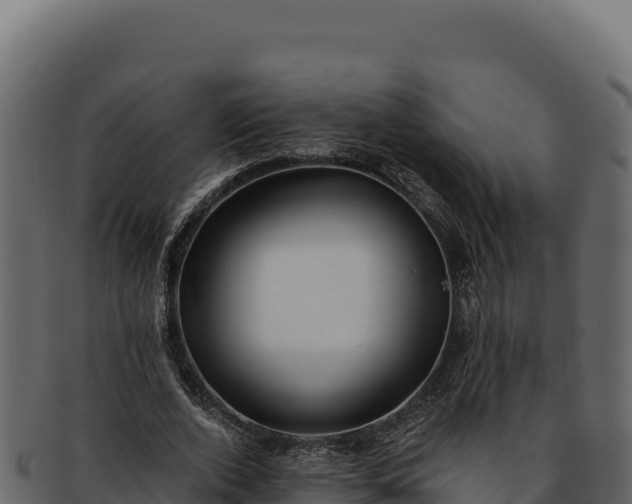 X0000092300728200710041447