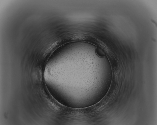 X0000092300729200710041447