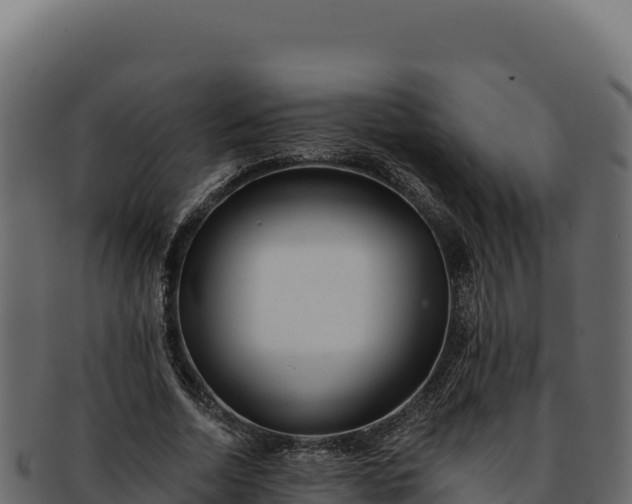 X0000092300730200710041447