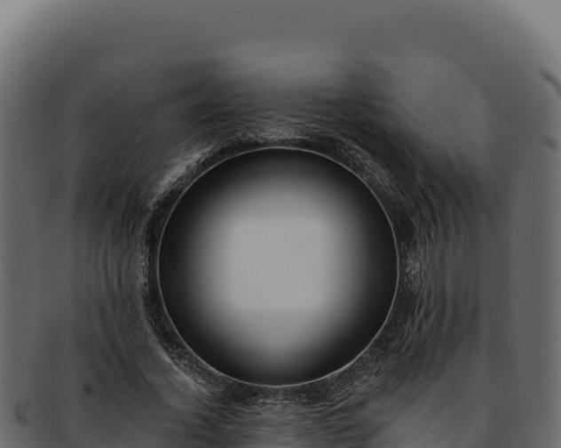 X0000092300732200710041447