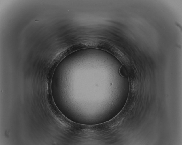 X0000092300733200710041447