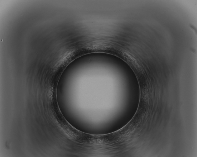 X0000092300735200710041447