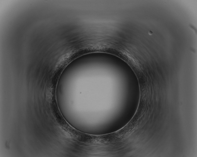 X0000092300736200710041447