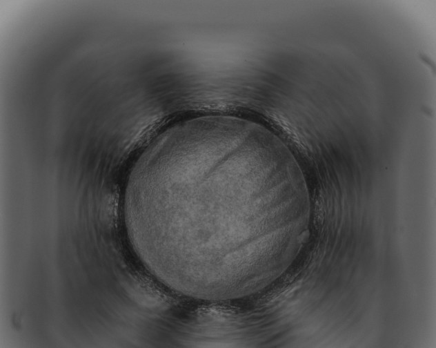 X0000092300739200710041447