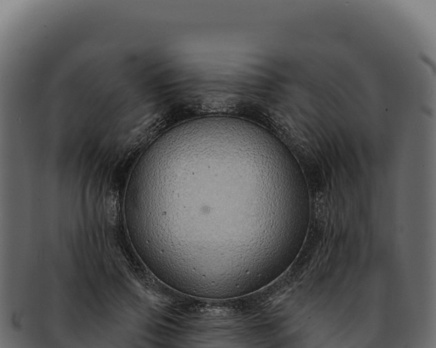 X0000092300741200710041447