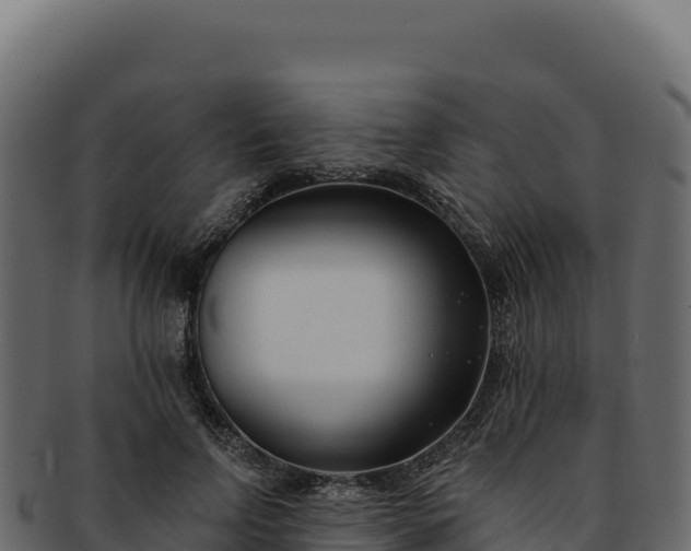 X0000092300742200710041447