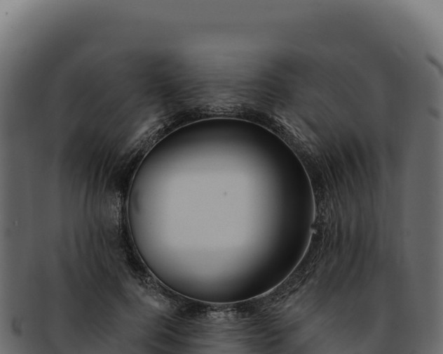 X0000092300744200710041447