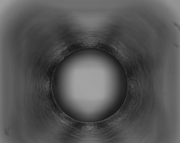 X0000092300745200710041447