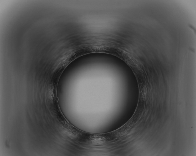 X0000092300746200710041447