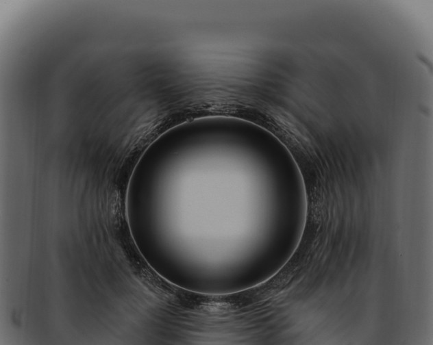 X0000092300748200710041447