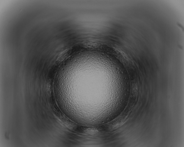 X0000092300749200710041447