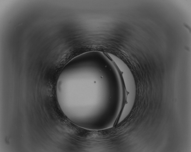 X0000092300750200710041447