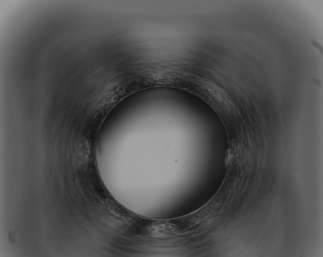 X0000092300752200710041447