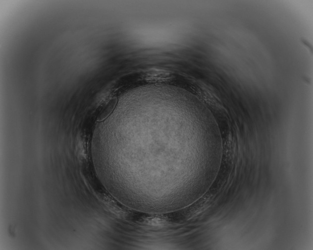 X0000092300755200710041447