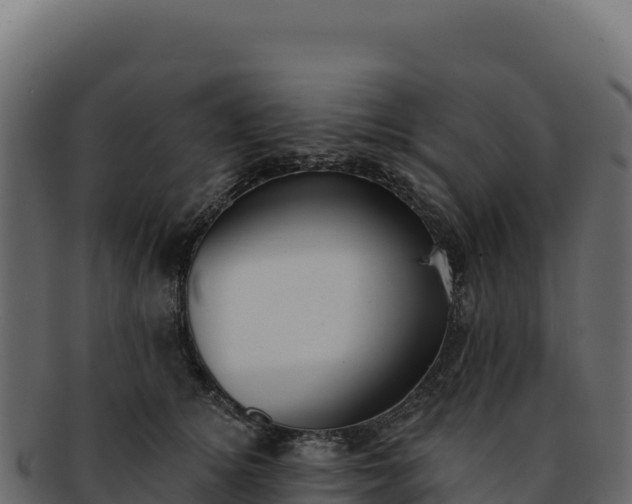 X0000092300756200710041447