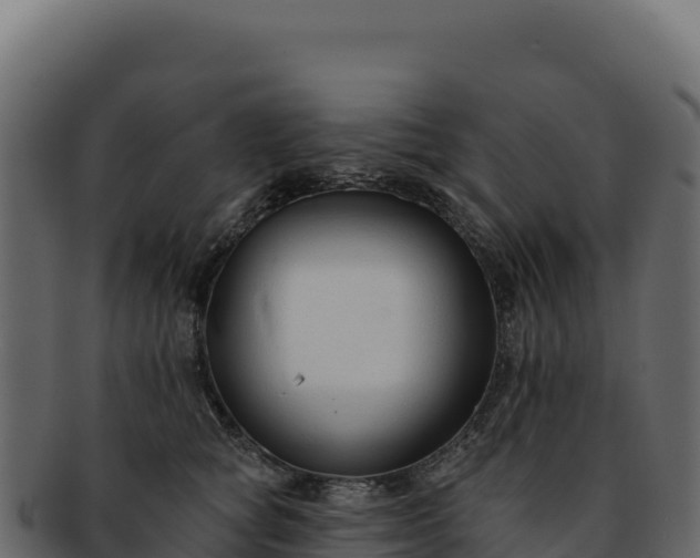 X0000092300757200710041447