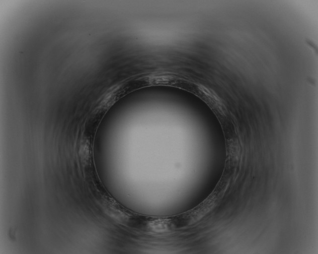 X0000092300761200710041447