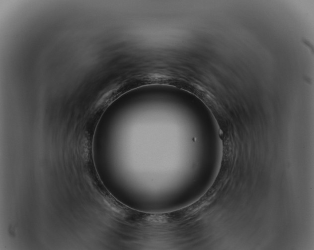 X0000092300762200710041447