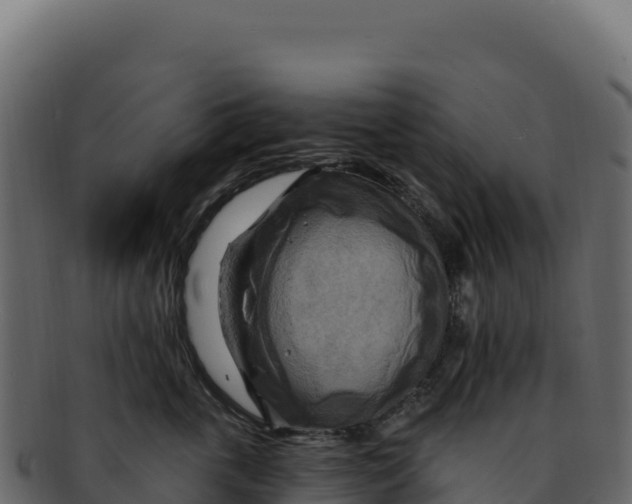 X0000092300763200710041447