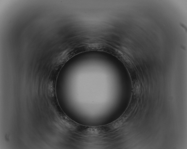 X0000092300764200710041447