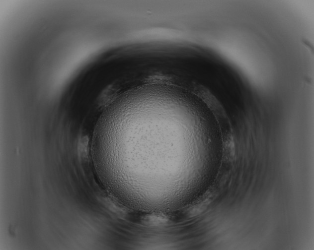 X0000092300765200710041447