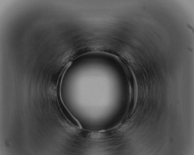 X0000092300766200710041447