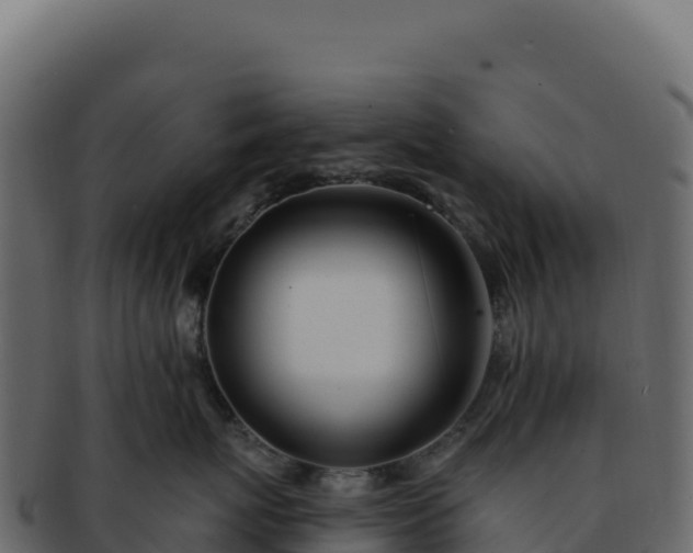 X0000092300767200710041447