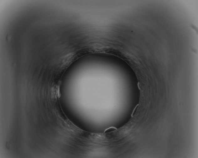 X0000092300768200710041447