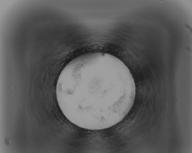 X0000092300769200710041447