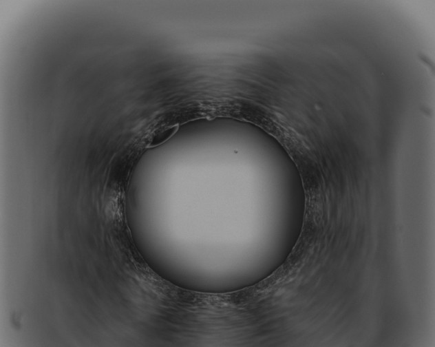 X0000092300770200710041447