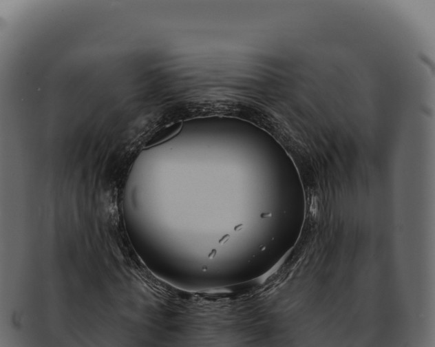 X0000092300771200710041447