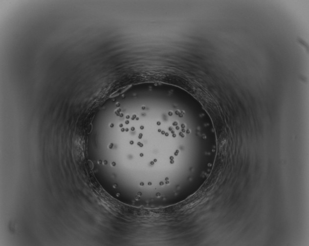 X0000092300772200710041447