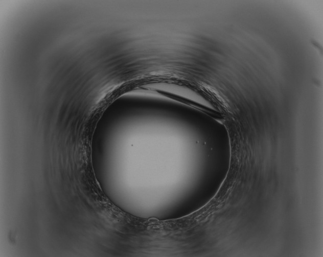 X0000092300776200710041447