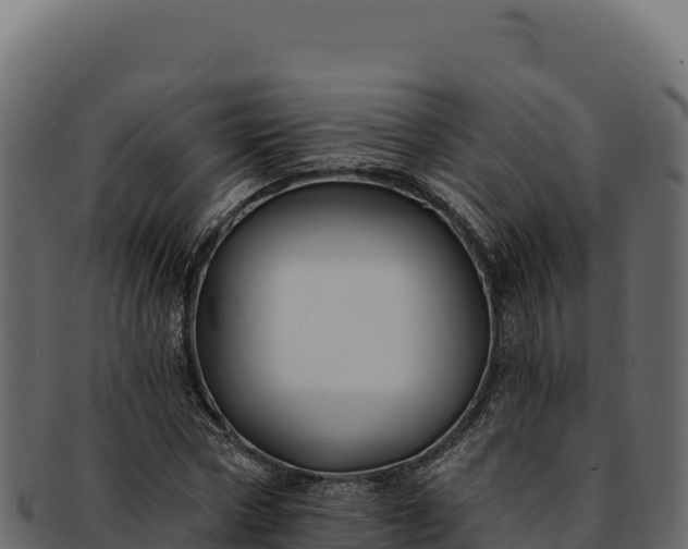 X0000092300778200710041447